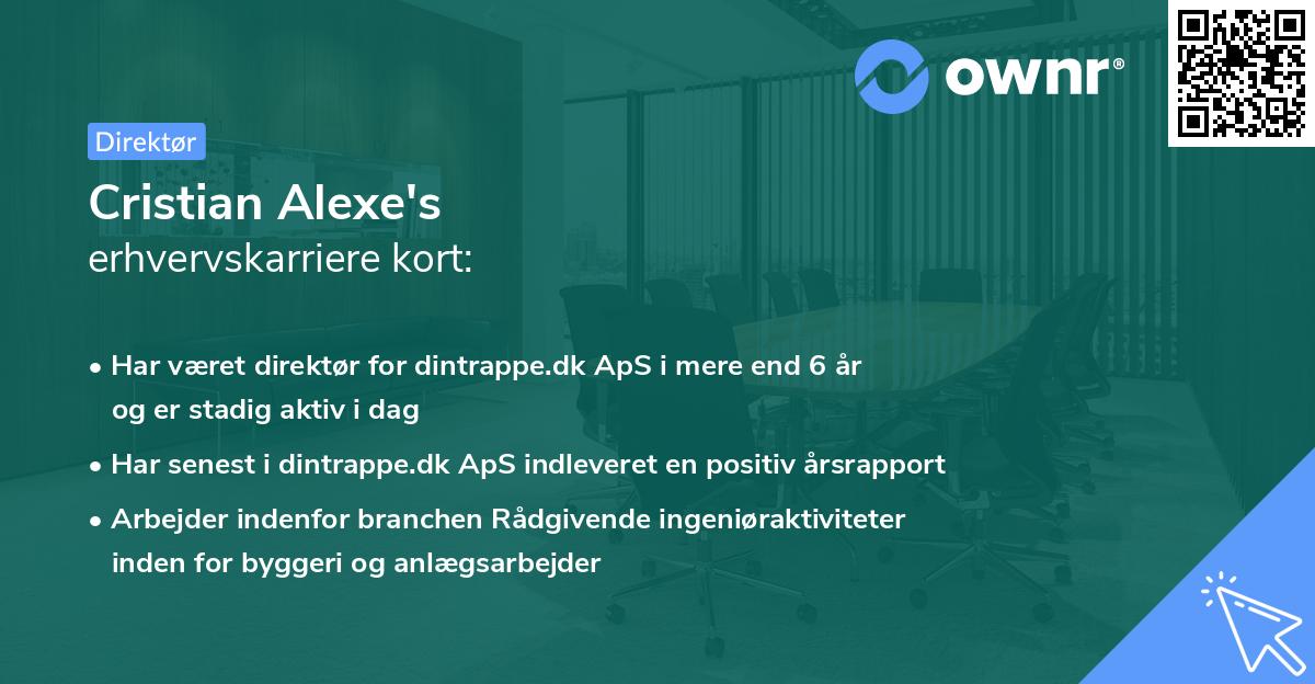 Cristian Alexe's erhvervskarriere kort