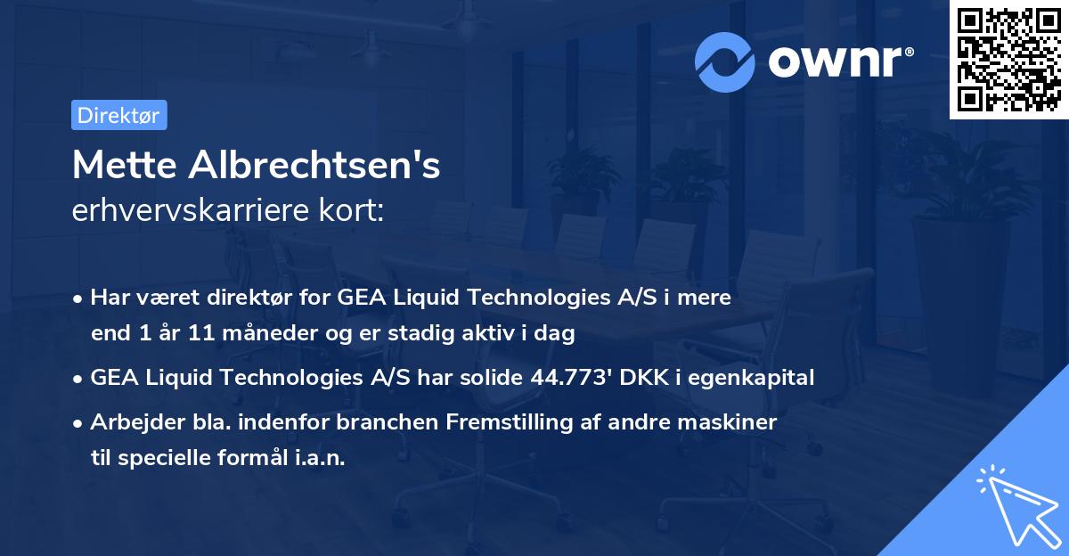 Mette Albrechtsen's erhvervskarriere kort