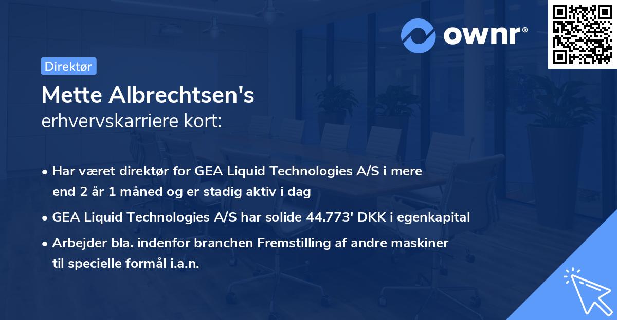Mette Albrechtsen's erhvervskarriere kort