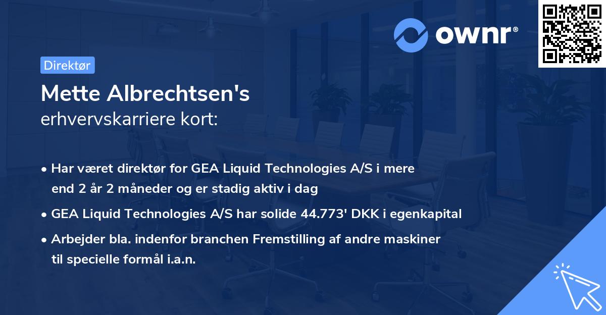 Mette Albrechtsen's erhvervskarriere kort