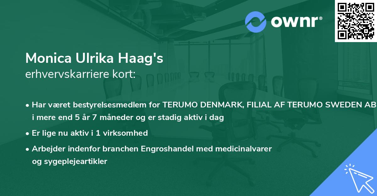 Monica Ulrika Haag's erhvervskarriere kort