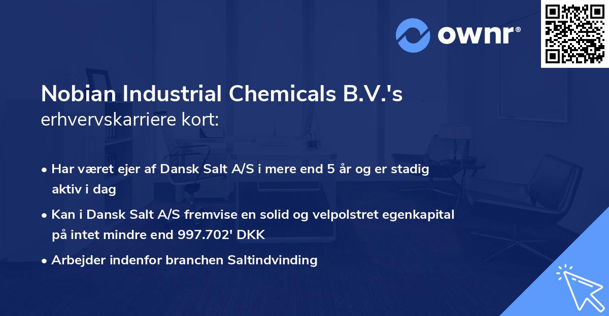 Nobian Industrial Chemicals B.V.'s erhvervskarriere kort