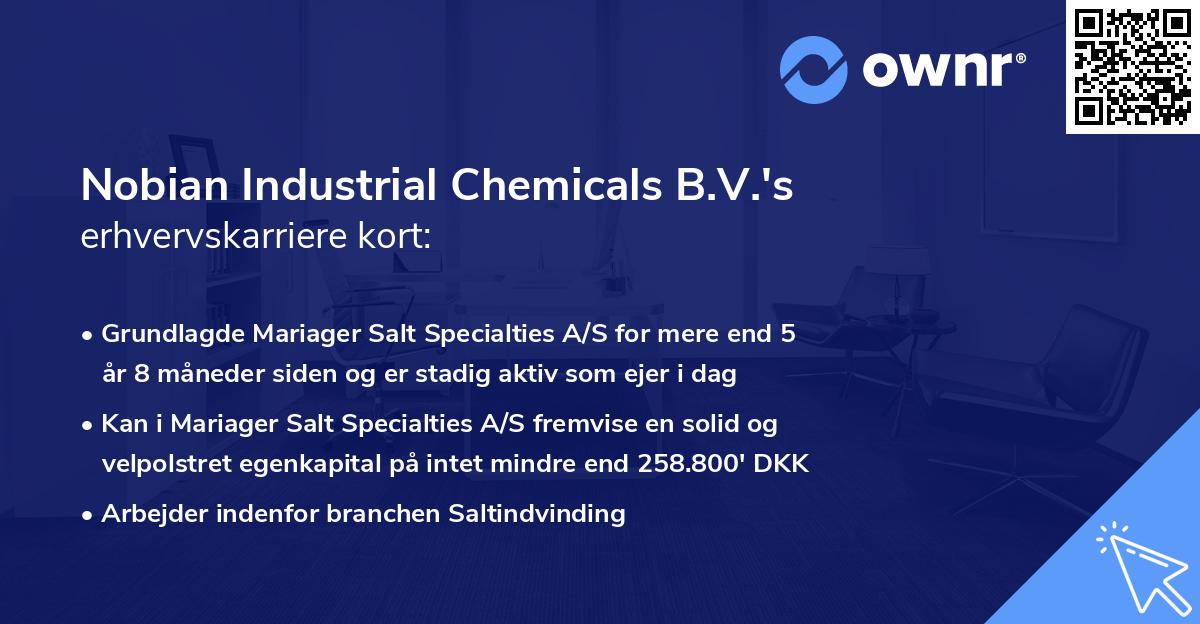 Nobian Industrial Chemicals B.V.'s erhvervskarriere kort