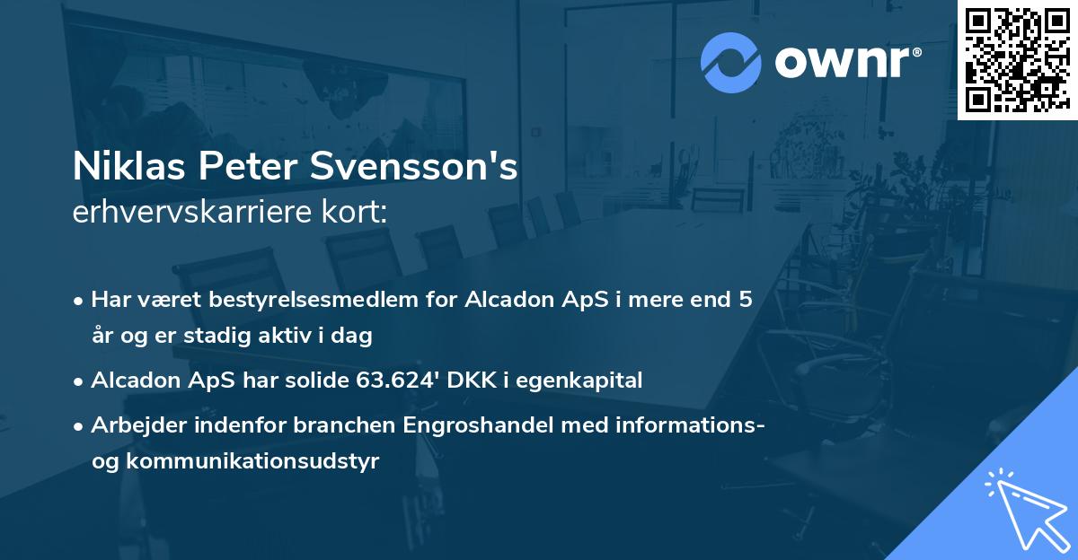 Niklas Peter Svensson's erhvervskarriere kort