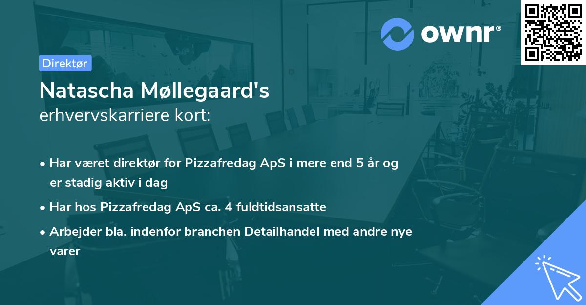 Natascha Møllegaard's erhvervskarriere kort