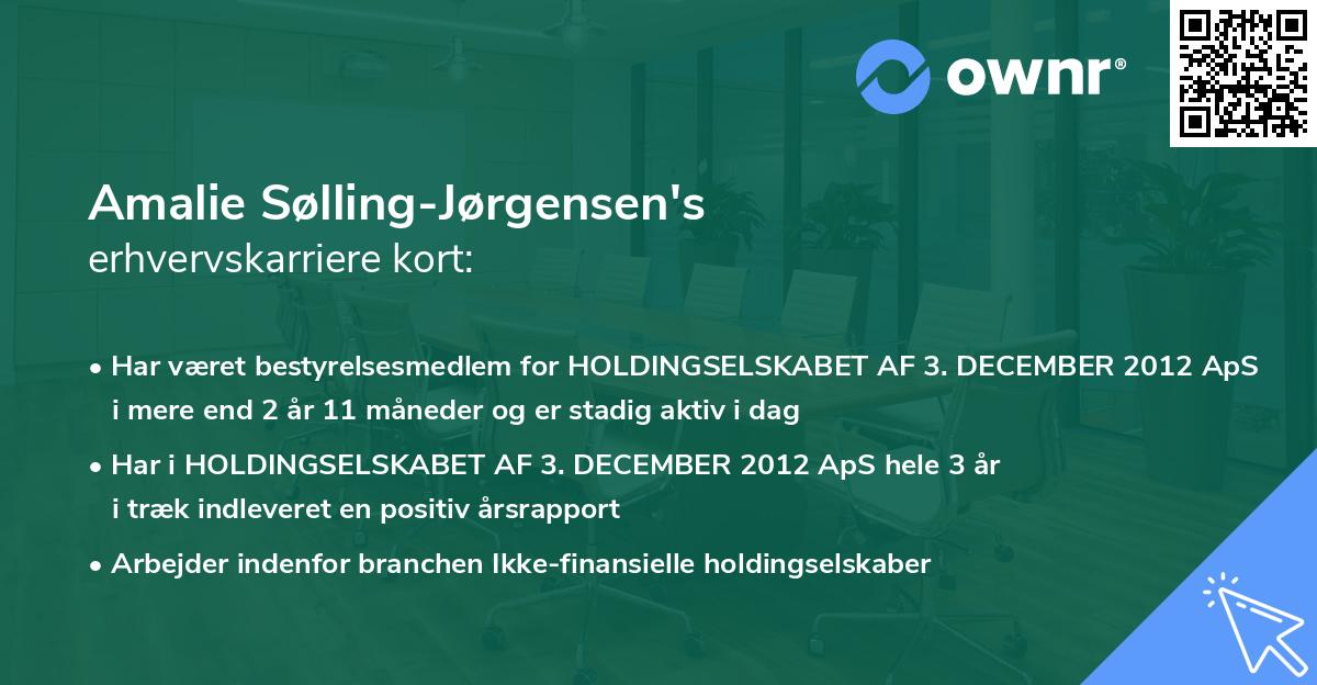 Amalie Sølling-Jørgensen's erhvervskarriere kort