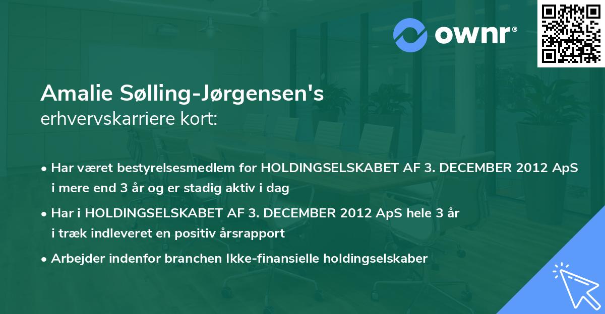 Amalie Sølling-Jørgensen's erhvervskarriere kort