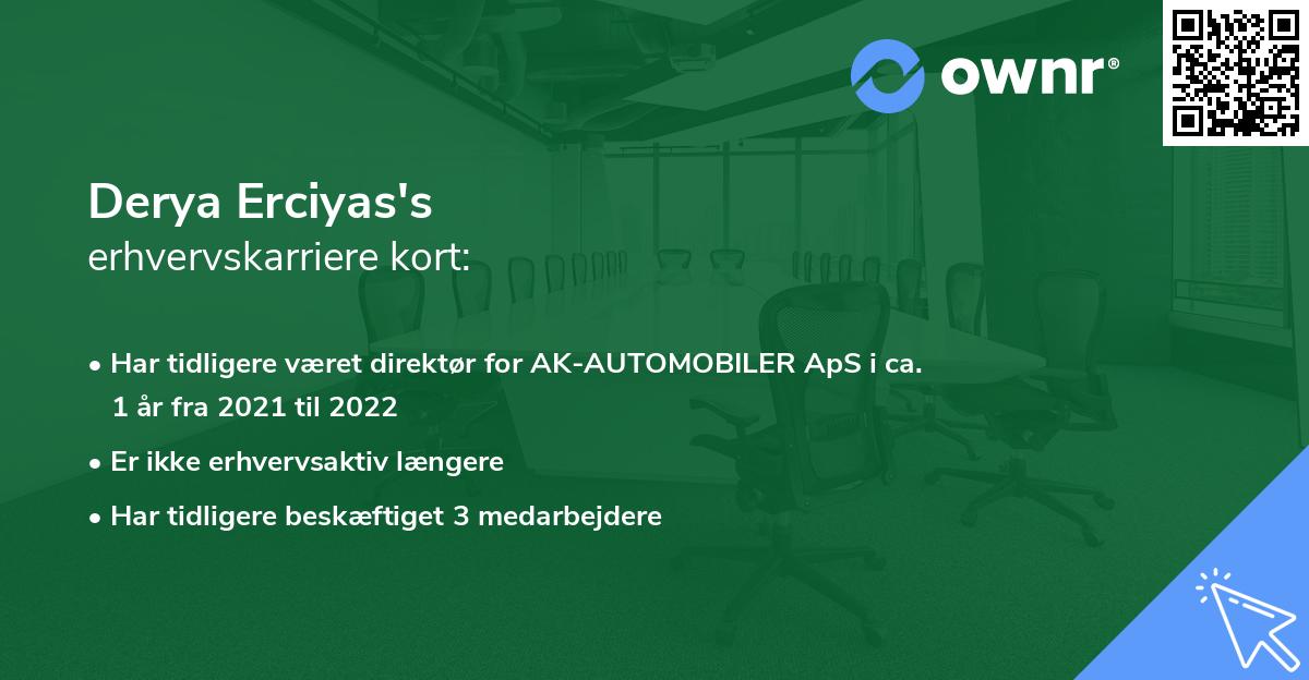 Derya Erciyas's erhvervskarriere kort