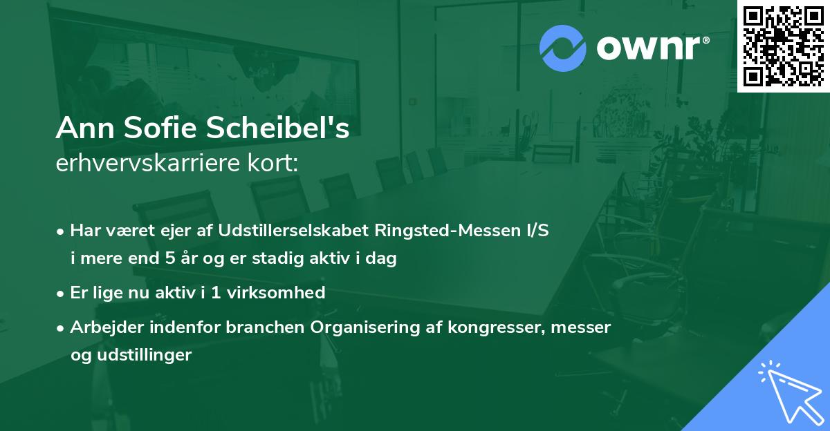 Ann Sofie Scheibel's erhvervskarriere kort