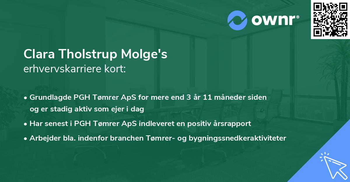 Clara Tholstrup Molge's erhvervskarriere kort