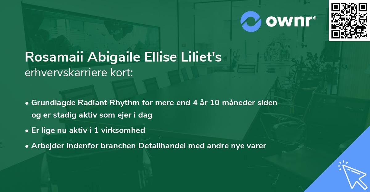 Rosamaii Abigaile Ellise Liliet's erhvervskarriere kort