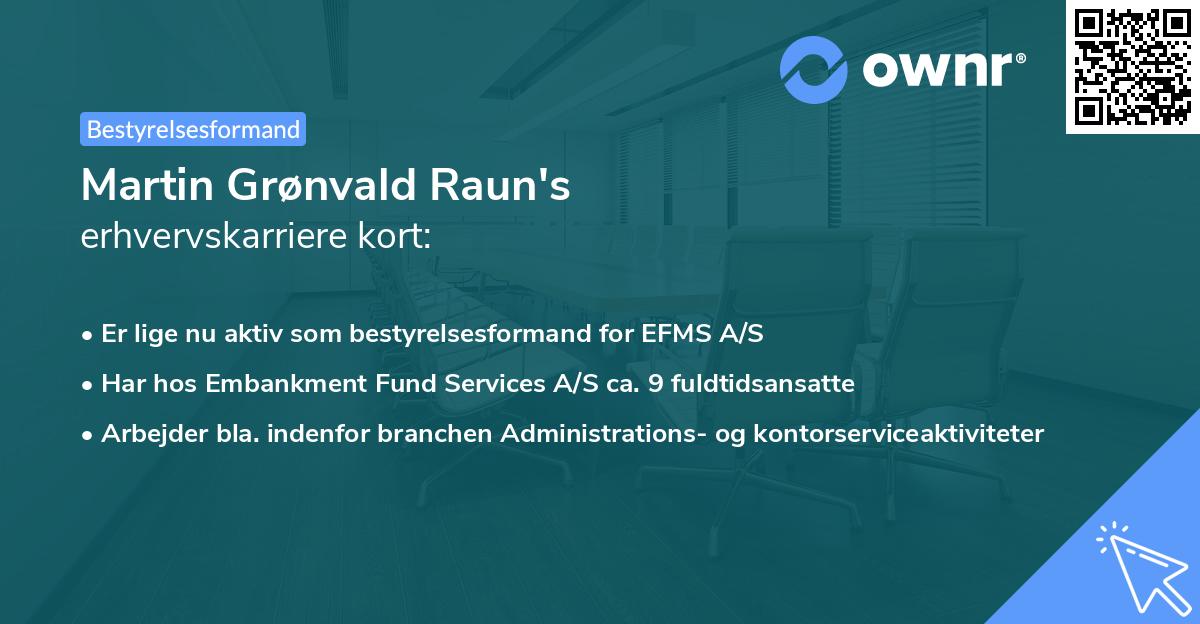 Martin Grønvald Raun's erhvervskarriere kort