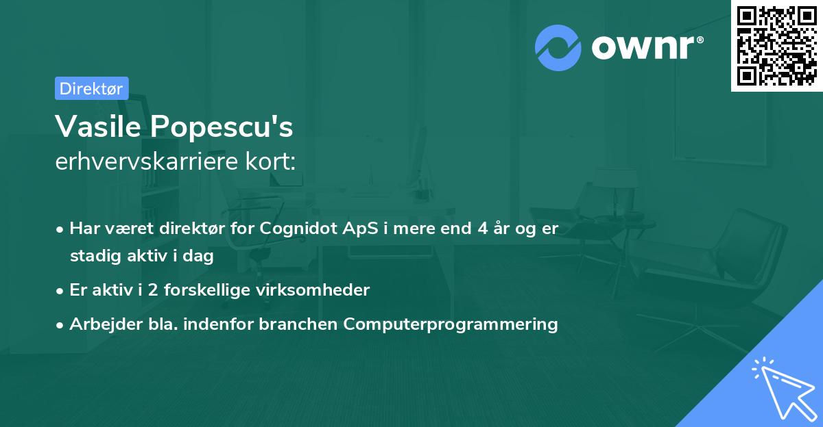 Vasile Popescu's erhvervskarriere kort