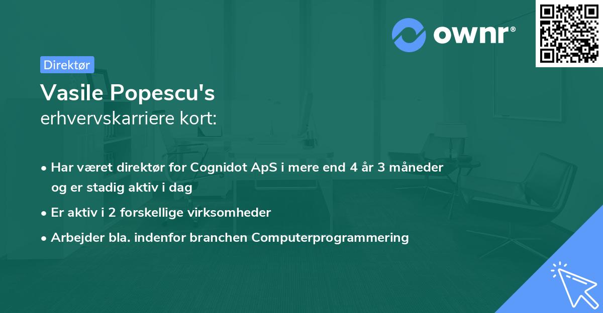 Vasile Popescu's erhvervskarriere kort