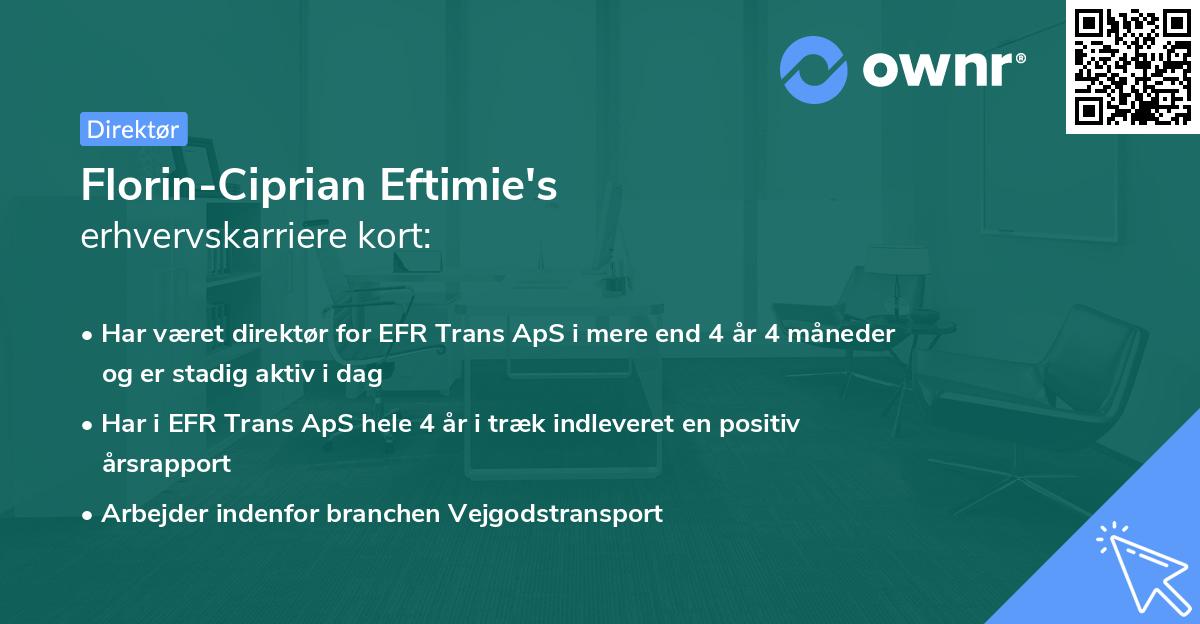 Florin-Ciprian Eftimie's erhvervskarriere kort