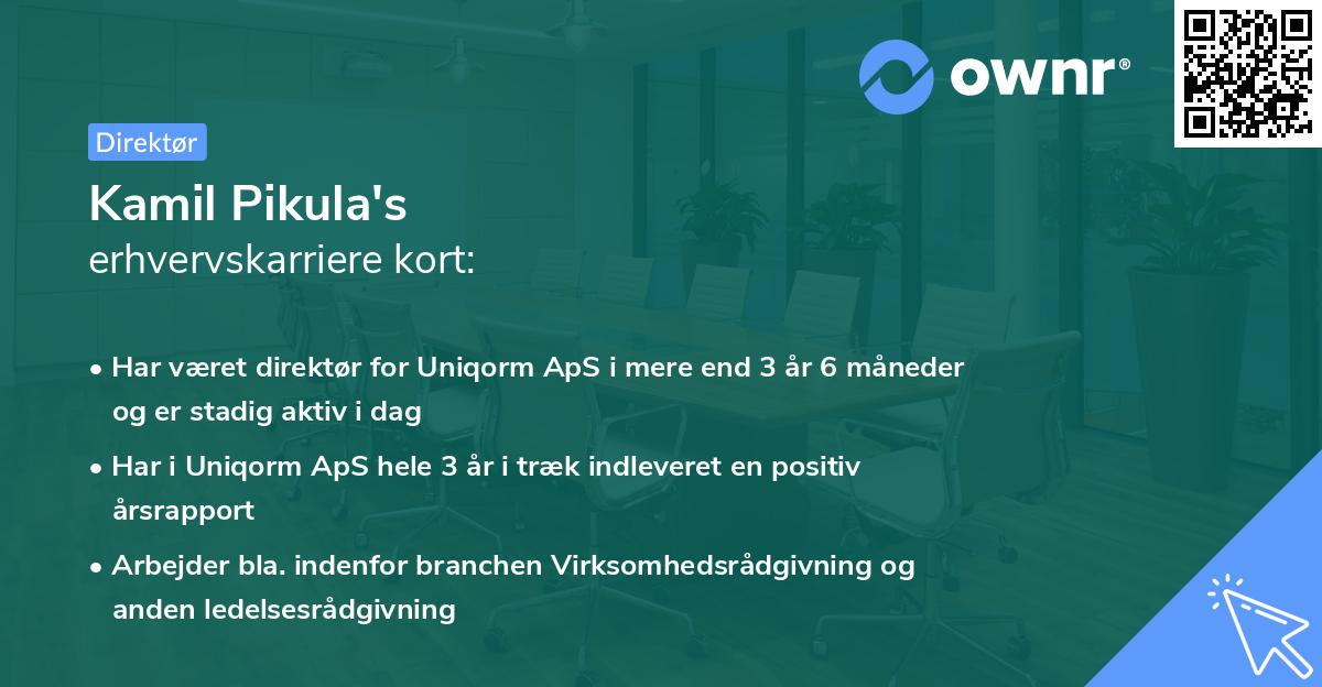 Kamil Pikula's erhvervskarriere kort