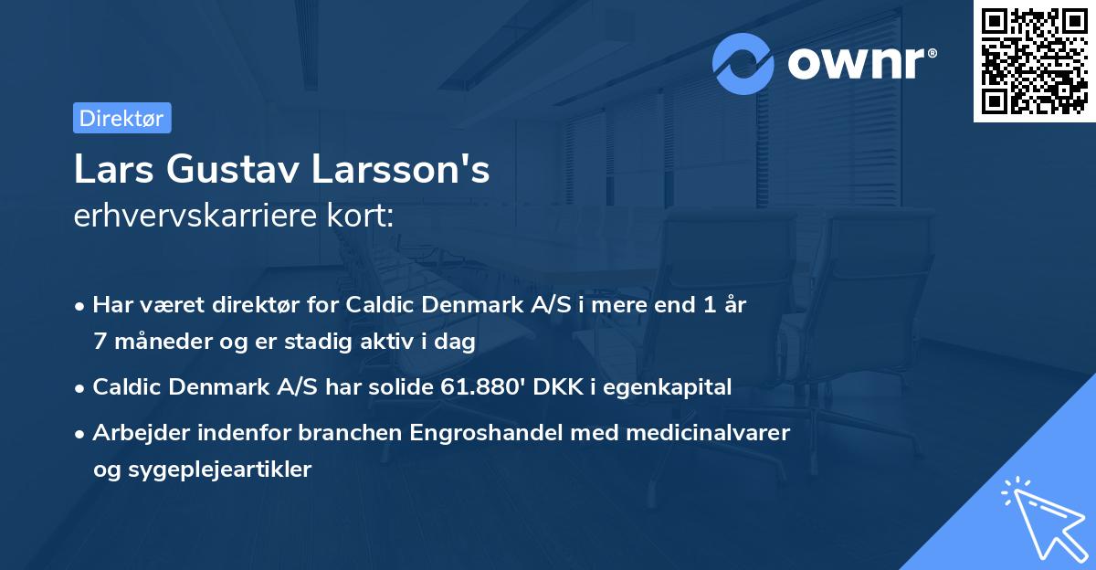 Lars Gustav Larsson's erhvervskarriere kort