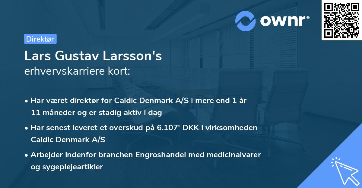 Lars Gustav Larsson's erhvervskarriere kort