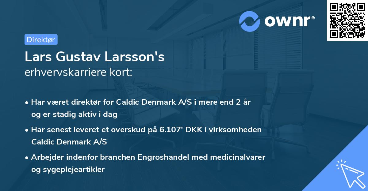 Lars Gustav Larsson's erhvervskarriere kort