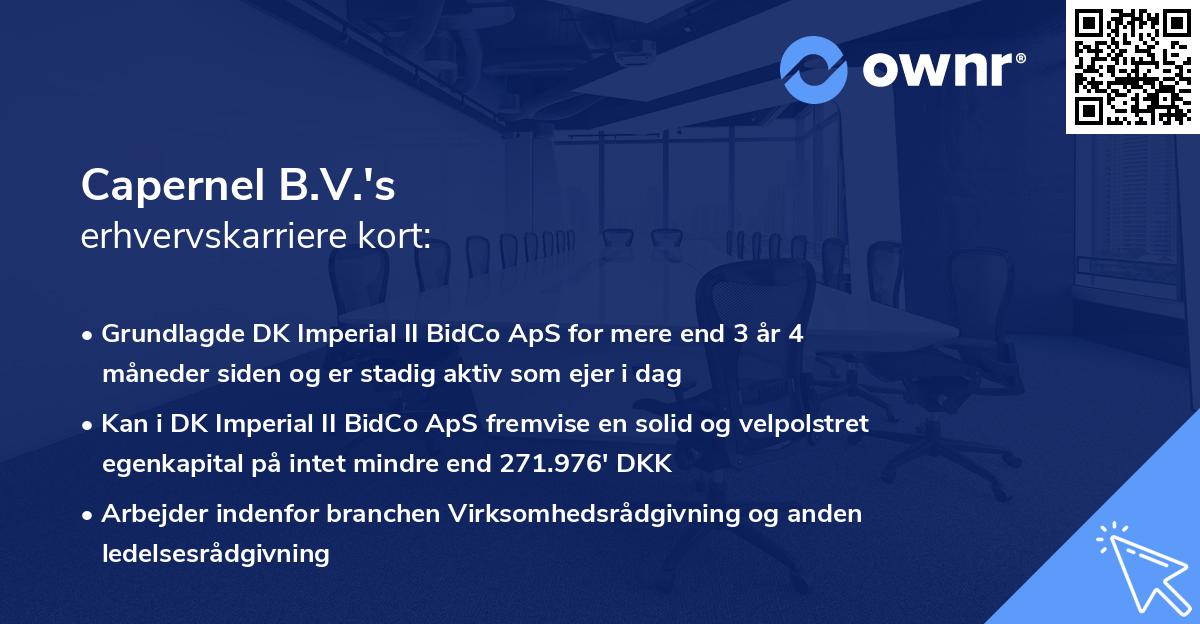 Capernel B.V.'s erhvervskarriere kort