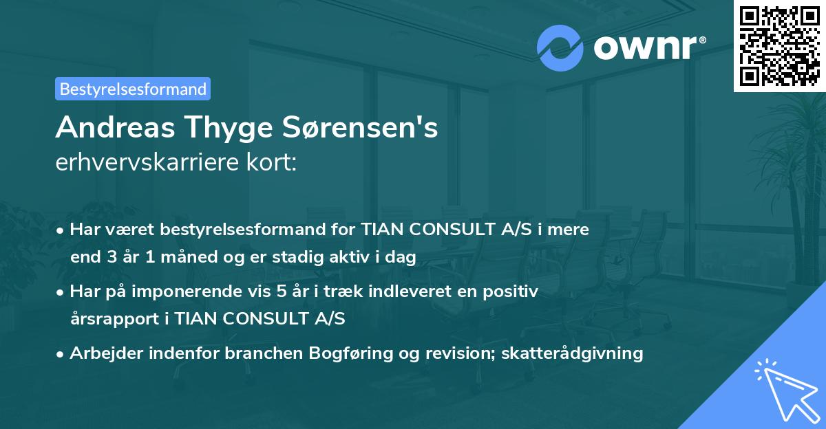 Andreas Thyge Sørensen's erhvervskarriere kort