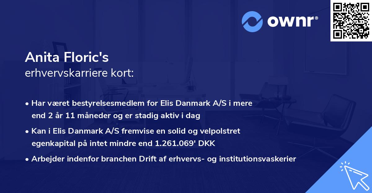 Anita Floric's erhvervskarriere kort