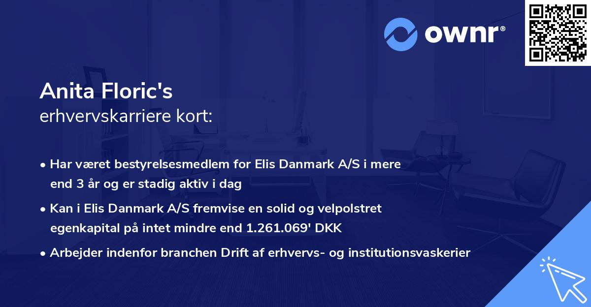 Anita Floric's erhvervskarriere kort