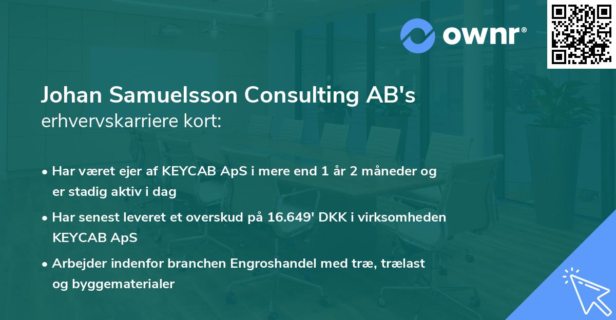 Johan Samuelsson Consulting AB's erhvervskarriere kort