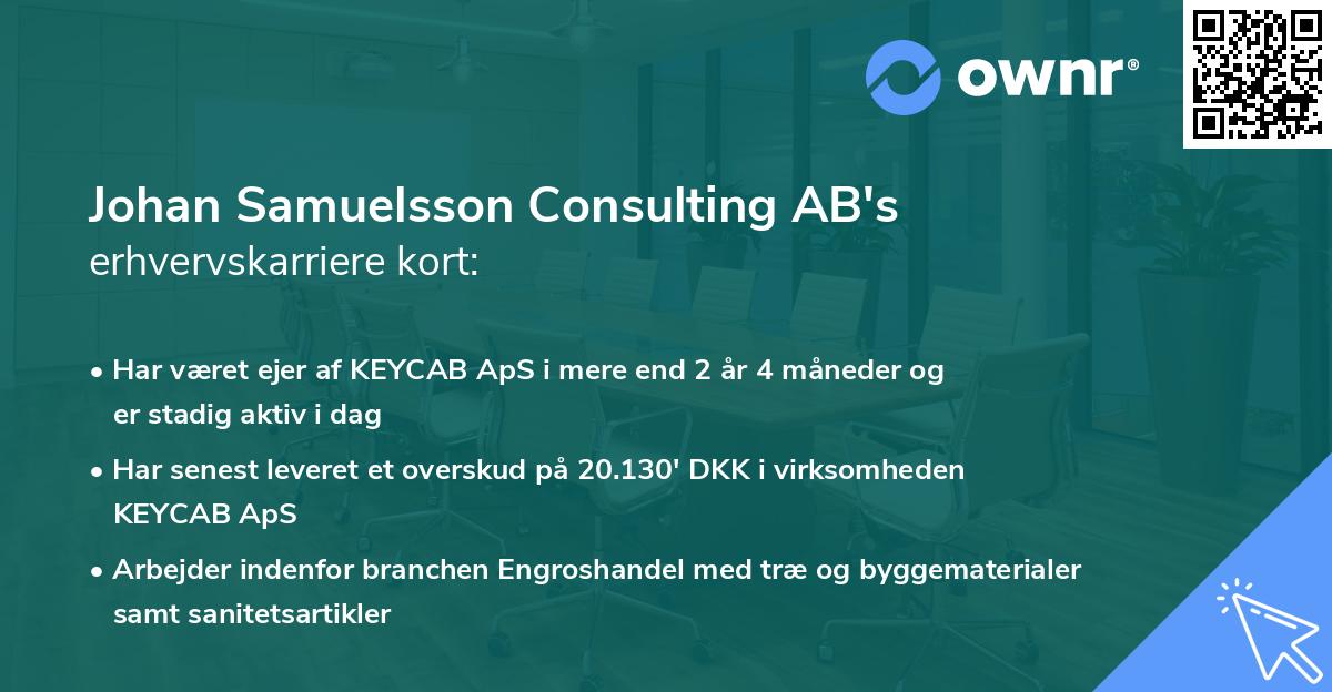Johan Samuelsson Consulting AB's erhvervskarriere kort