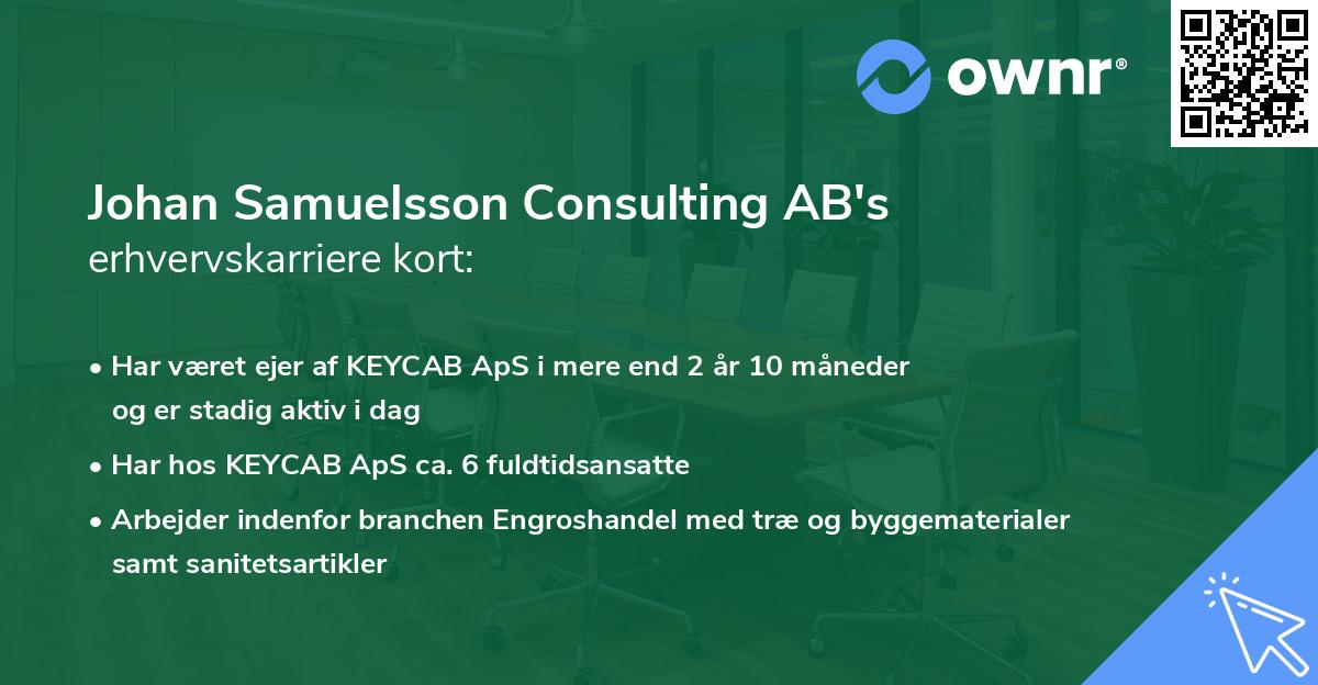 Johan Samuelsson Consulting AB's erhvervskarriere kort