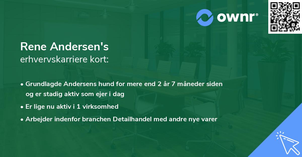 Rene Andersen's erhvervskarriere kort