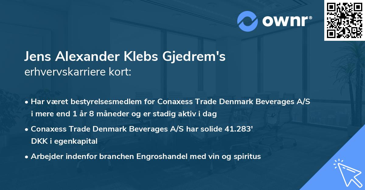 Jens Alexander Klebs Gjedrem's erhvervskarriere kort