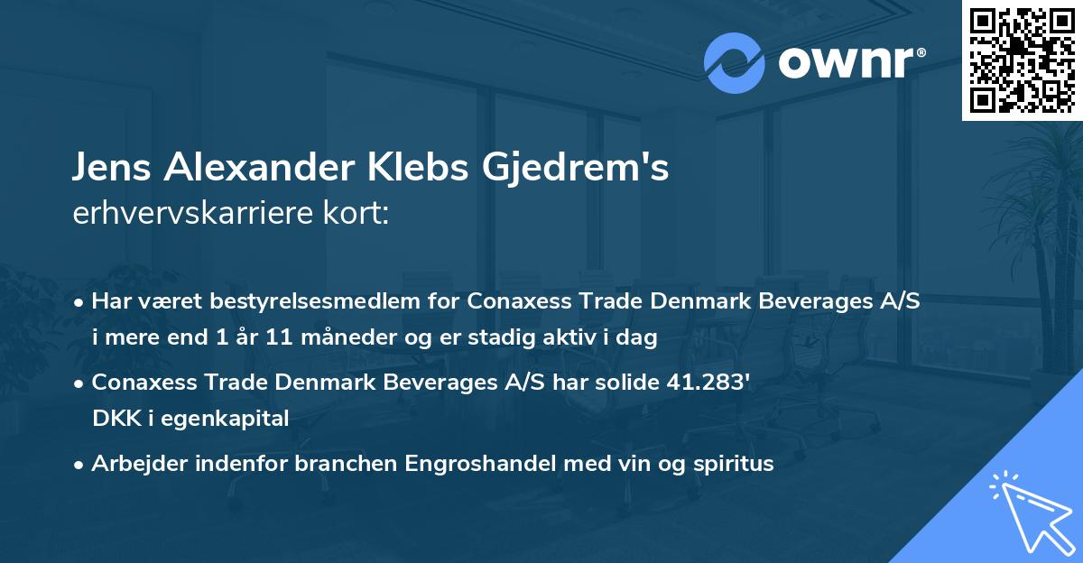 Jens Alexander Klebs Gjedrem's erhvervskarriere kort