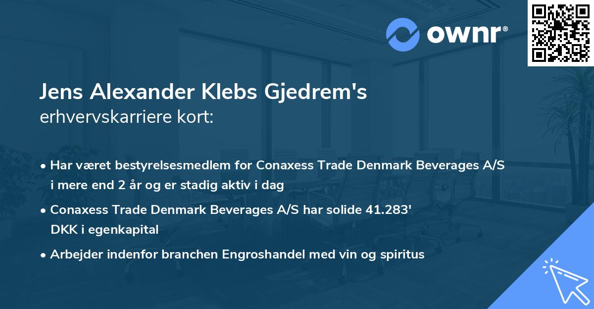 Jens Alexander Klebs Gjedrem's erhvervskarriere kort