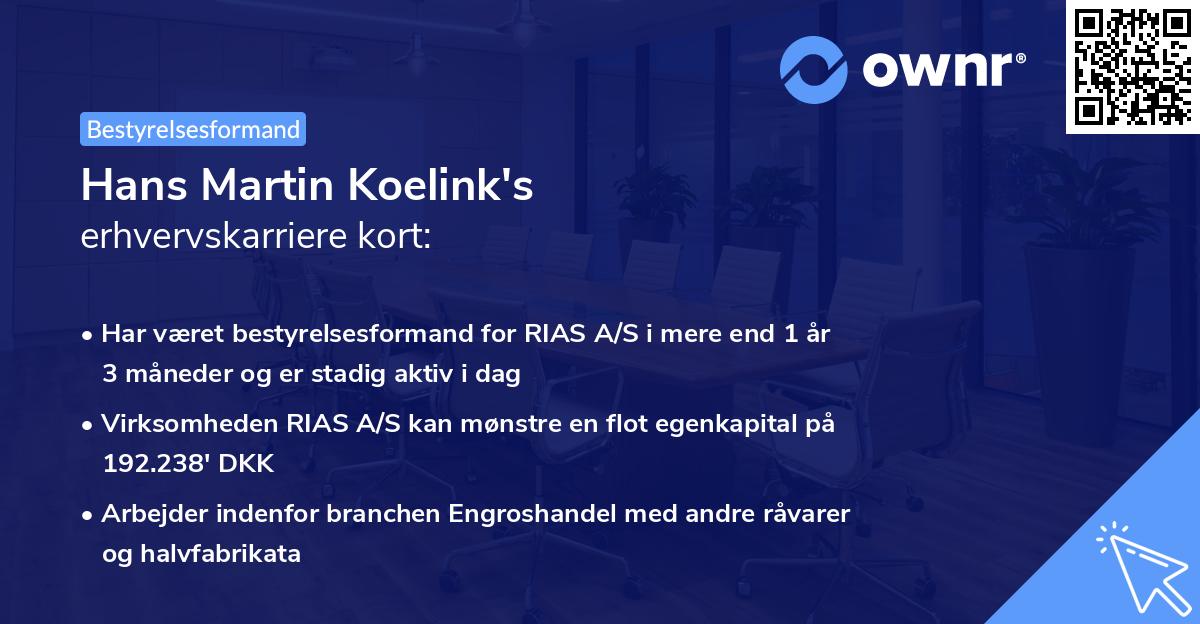 Hans Martin Koelink's erhvervskarriere kort