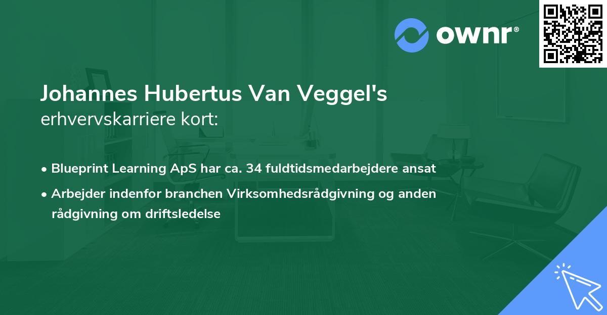 Johannes Hubertus Van Veggel's erhvervskarriere kort