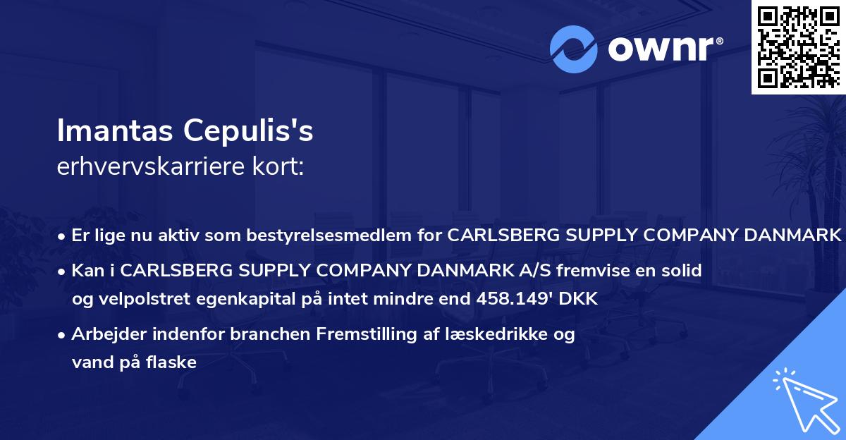 Imantas Cepulis's erhvervskarriere kort