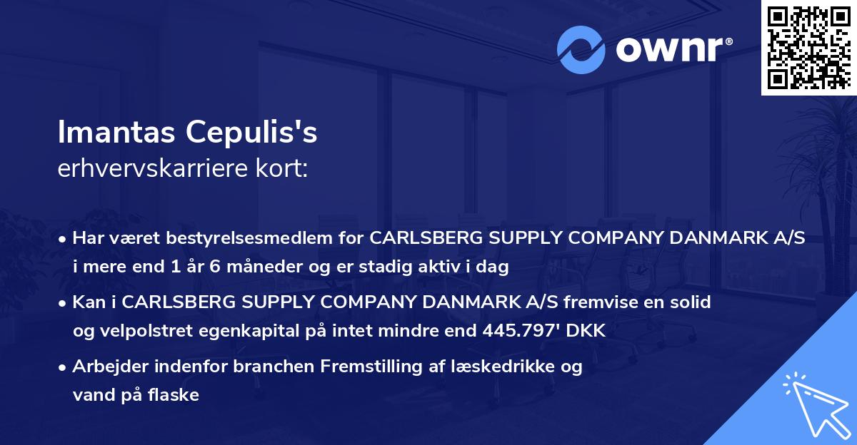 Imantas Cepulis's erhvervskarriere kort