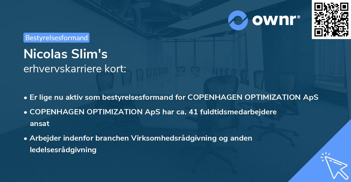 Nicolas Slim's erhvervskarriere kort