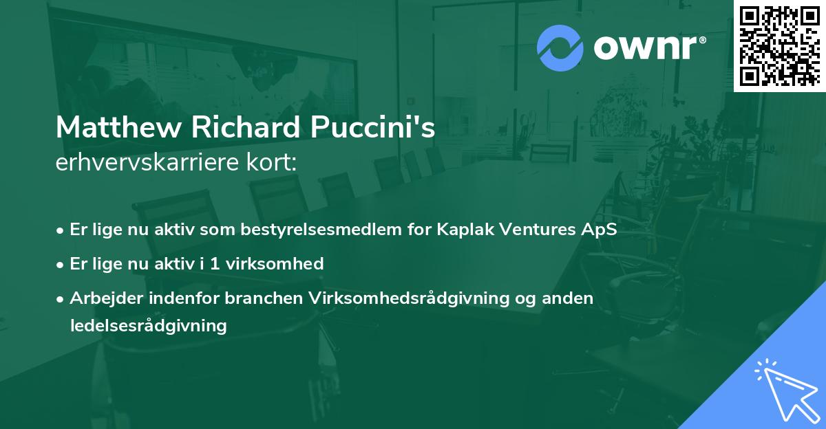 Matthew Richard Puccini's erhvervskarriere kort