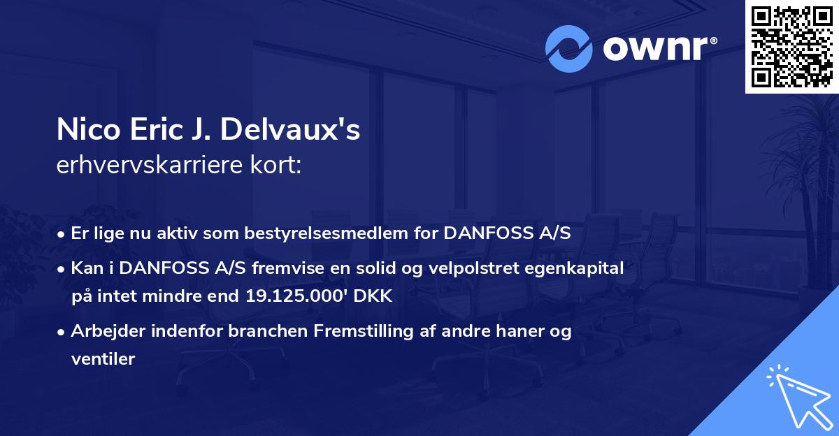 Nico Eric J. Delvaux's erhvervskarriere kort