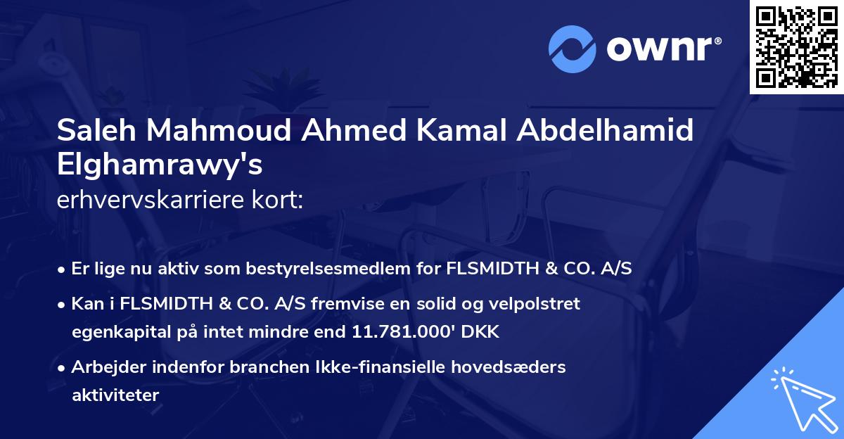 Saleh Mahmoud Ahmed Kamal Abdelhamid Elghamrawy's erhvervskarriere kort