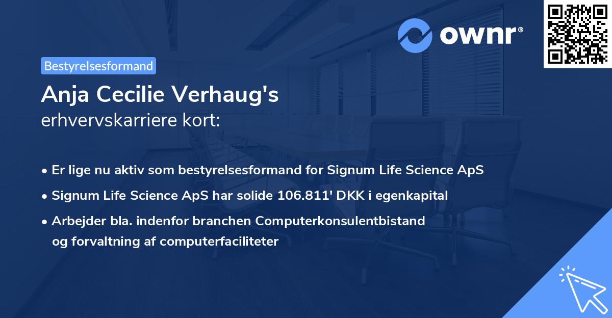 Anja Cecilie Verhaug's erhvervskarriere kort