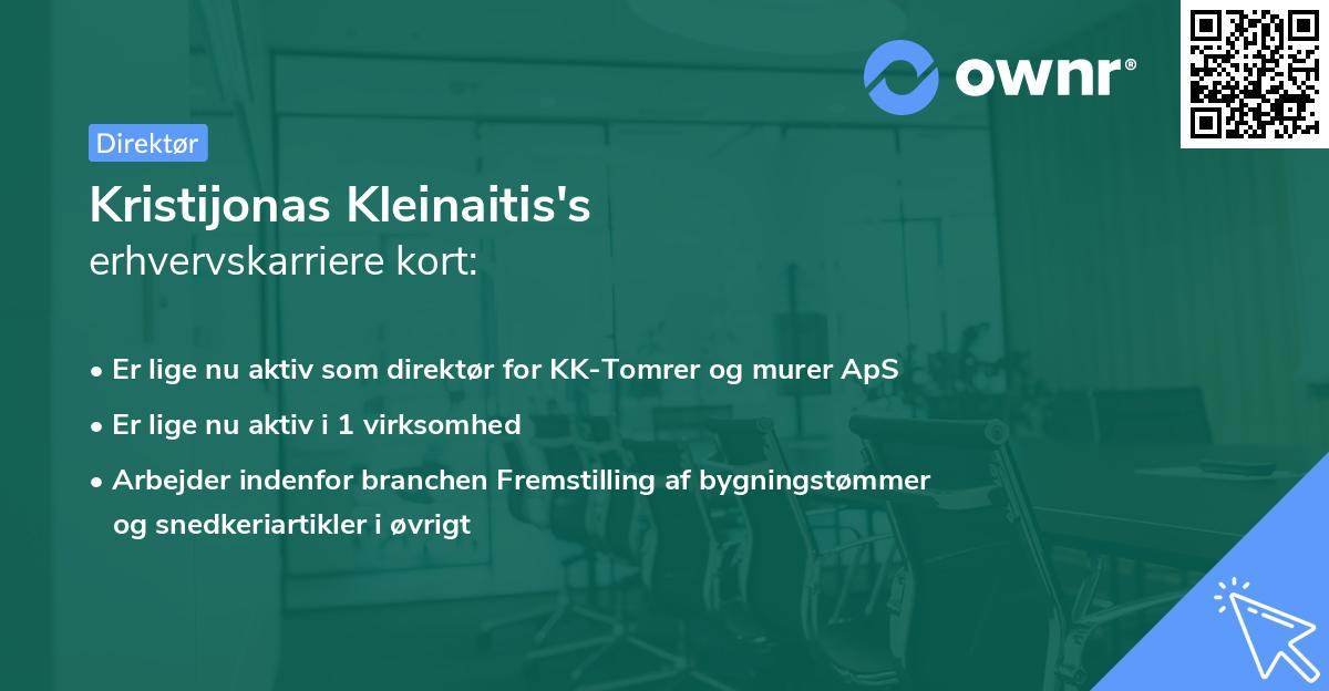Kristijonas Kleinaitis's erhvervskarriere kort