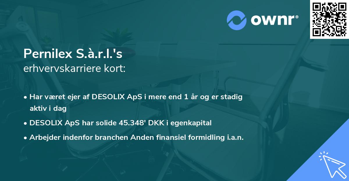 Pernilex S.à.r.l.'s erhvervskarriere kort