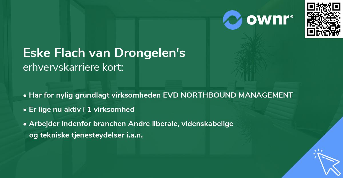 Eske Flach van Drongelen's erhvervskarriere kort