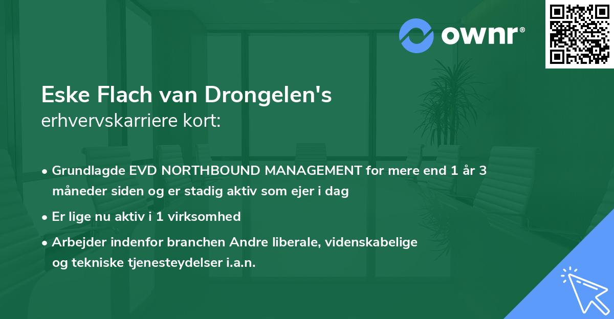 Eske Flach van Drongelen's erhvervskarriere kort