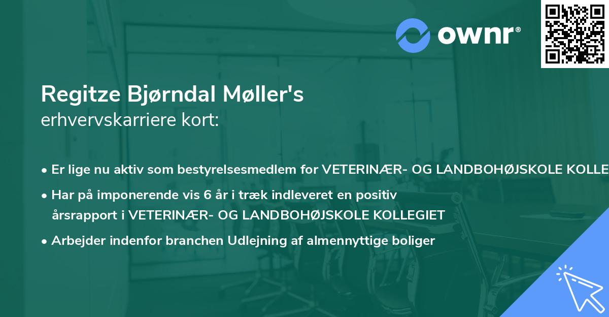 Regitze Bjørndal Møller's erhvervskarriere kort