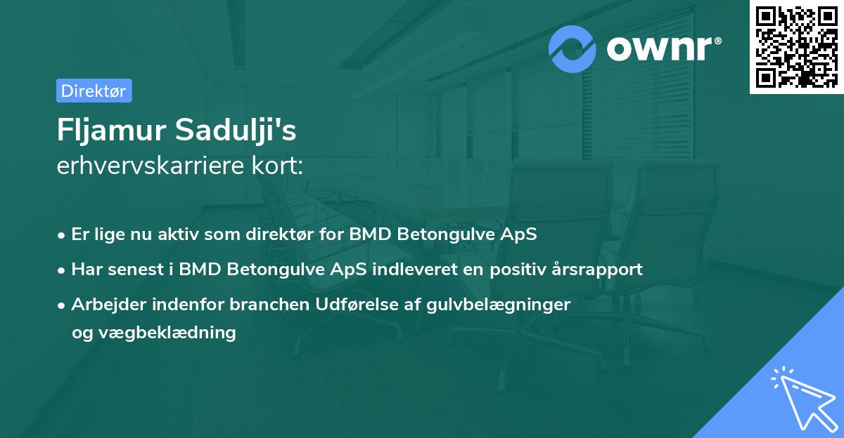 Fljamur Sadulji's erhvervskarriere kort