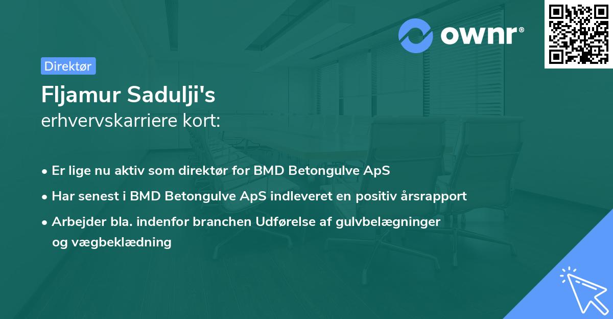 Fljamur Sadulji's erhvervskarriere kort